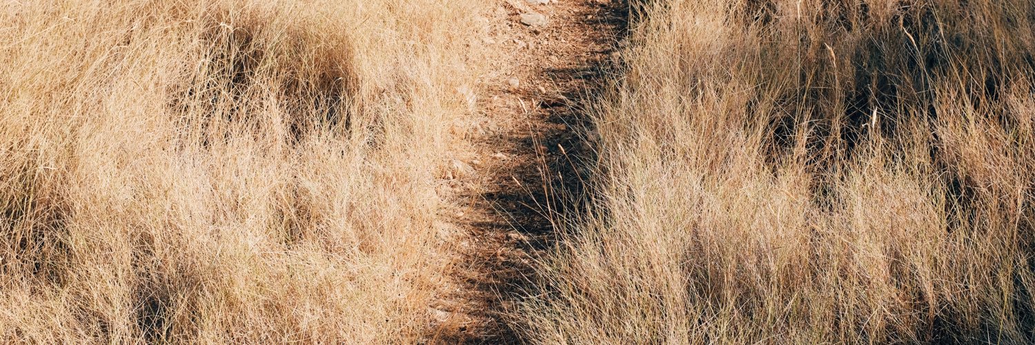 exexalex's profile banner image