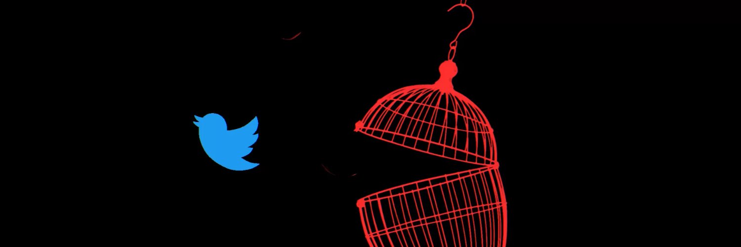 ludmil's profile banner image