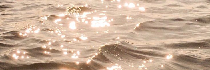 autredamous's profile banner image