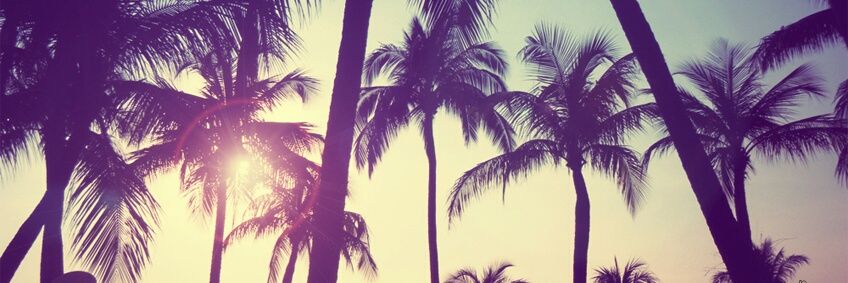 _carolinaborja's profile banner image