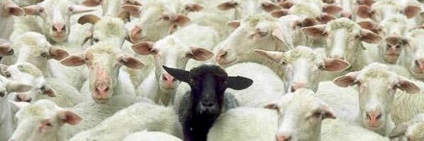 Baye Fily Mbengue banner