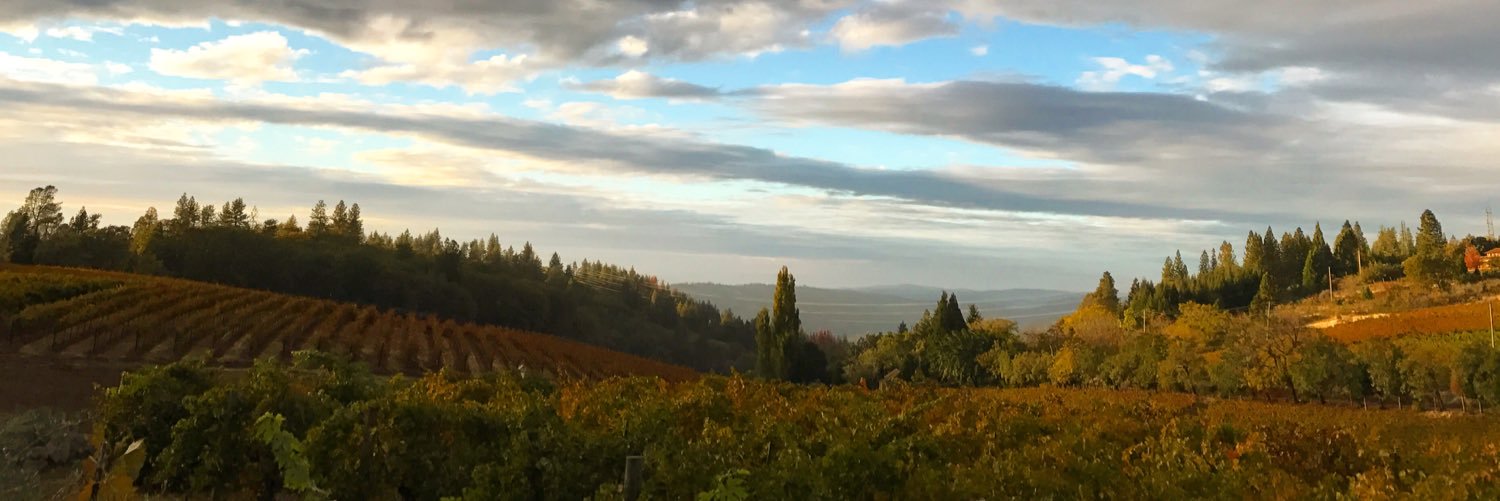LavaCapWinery's profile banner image