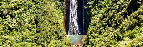 JurassicPark2go Profile Banner