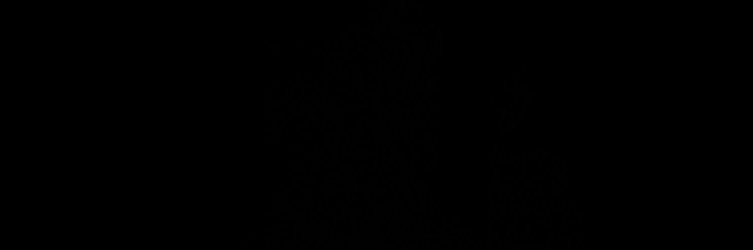 NouranRL's profile banner image