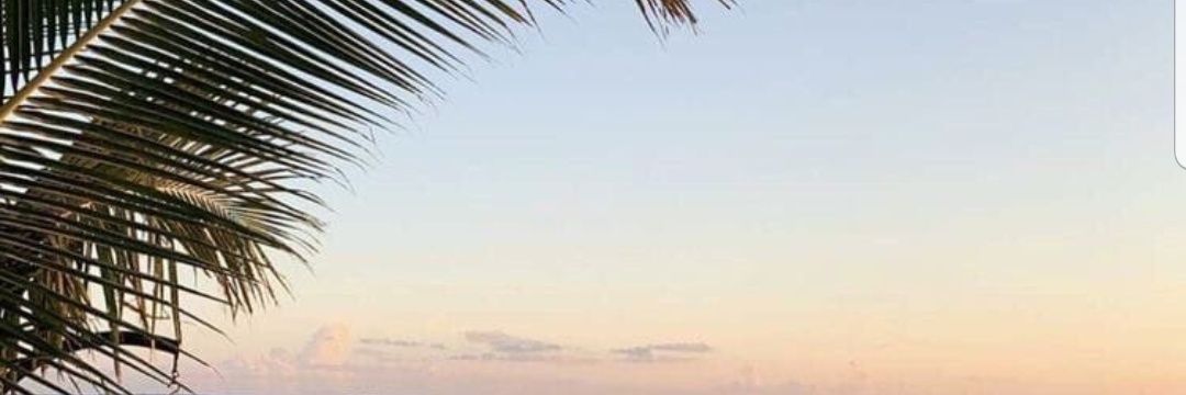 🧡mymelody🎻🎼 banner