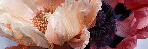 BasiaSkudrzyk Profile Banner