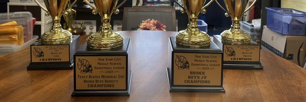 Word2myKnicks Profile Banner