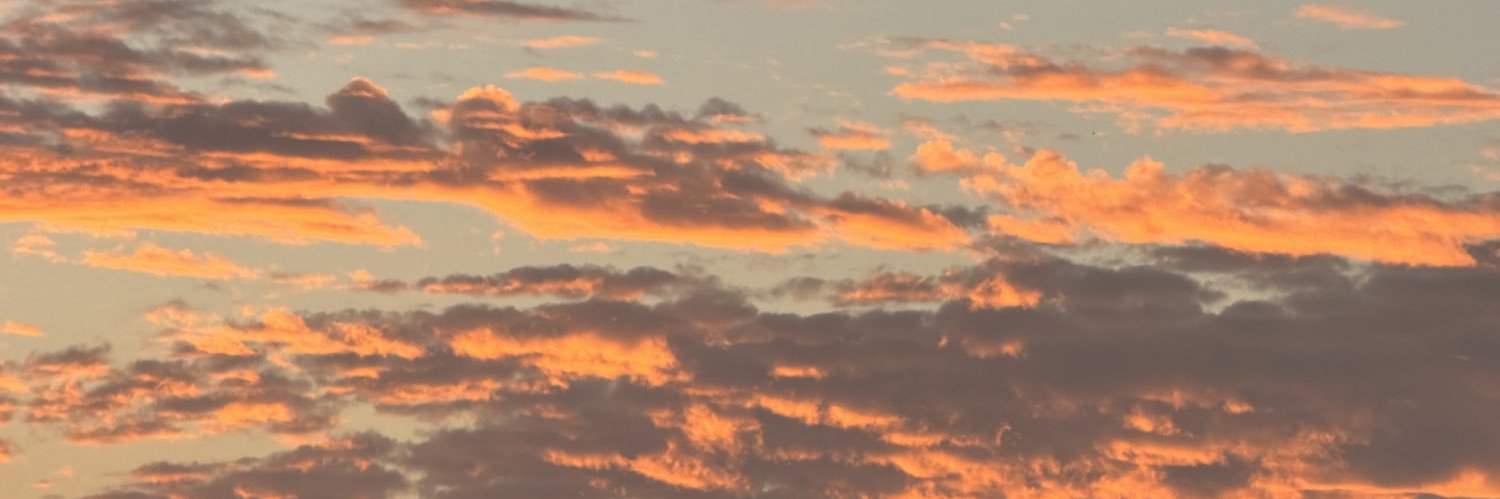 Λάνα banner