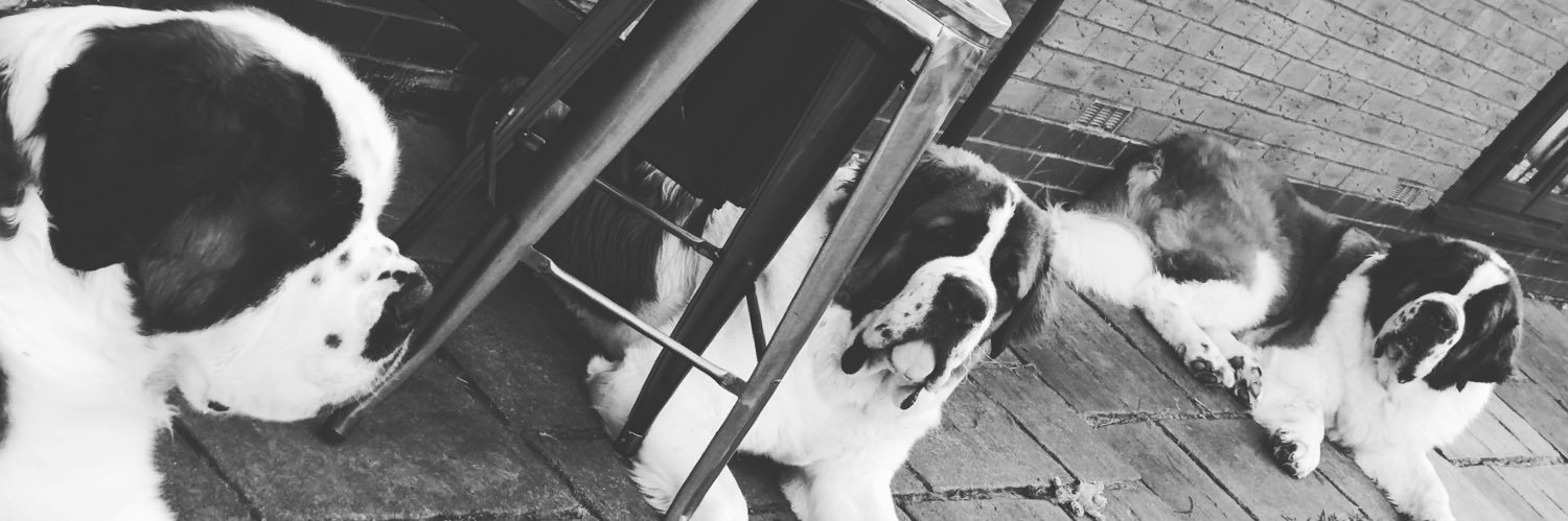 Elaine perritt banner