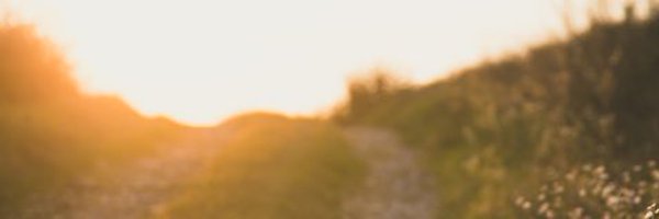 _MinnieLeong Profile Banner