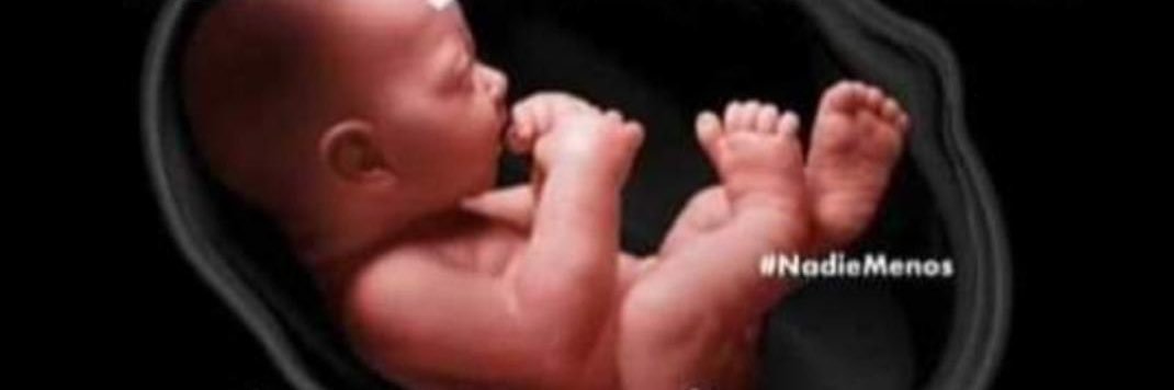 CiudadCelestePorVidayFamilia banner