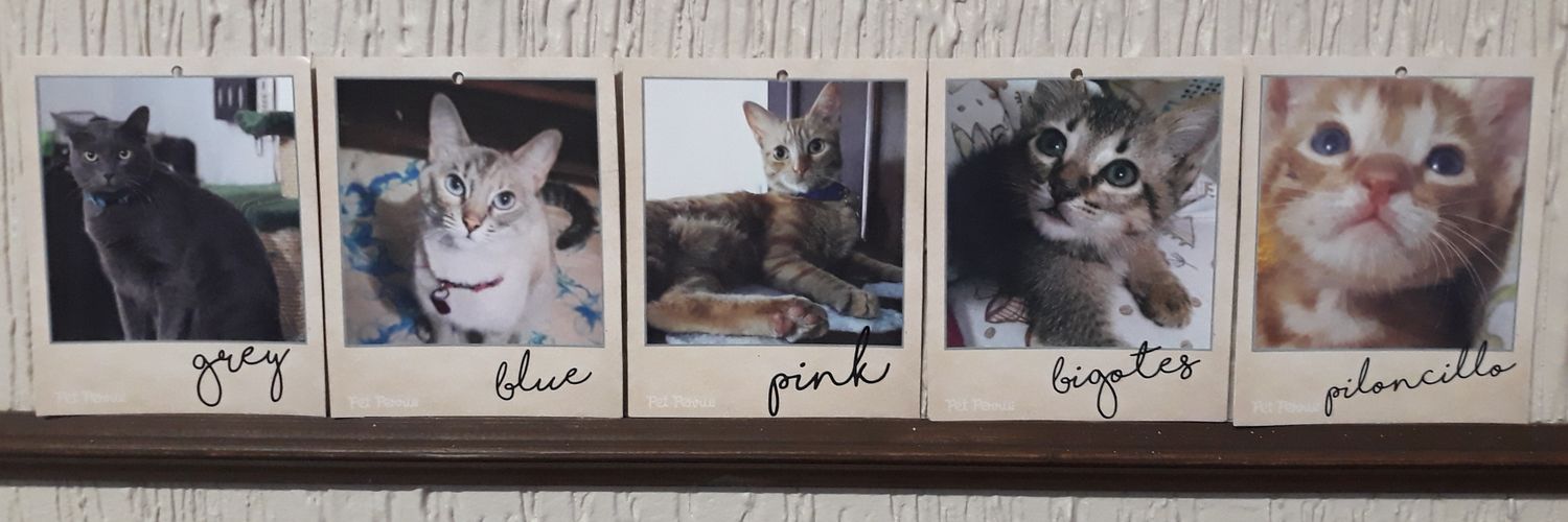 pauriverar's profile banner image