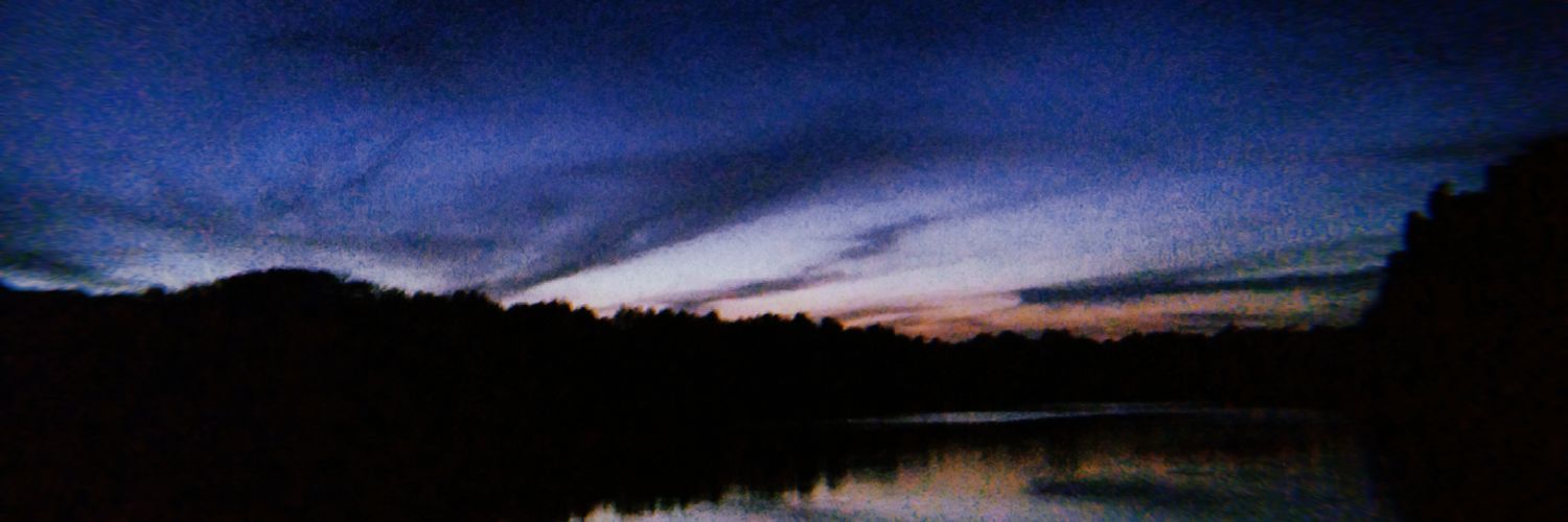 Silvia7795's profile banner image
