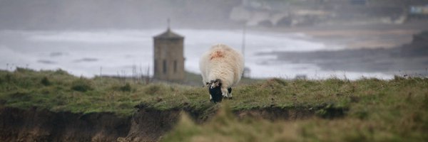 BudeClimate Profile Banner