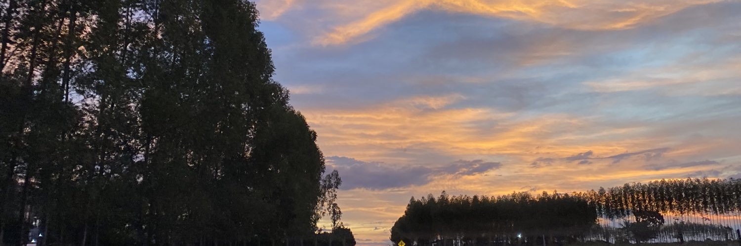 isadoratonini's profile banner image