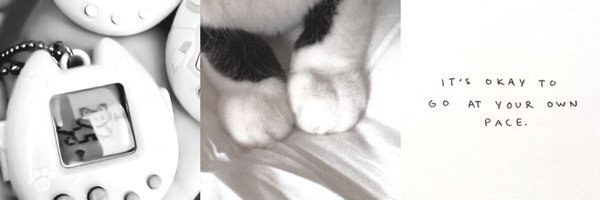 pixievll Profile Banner