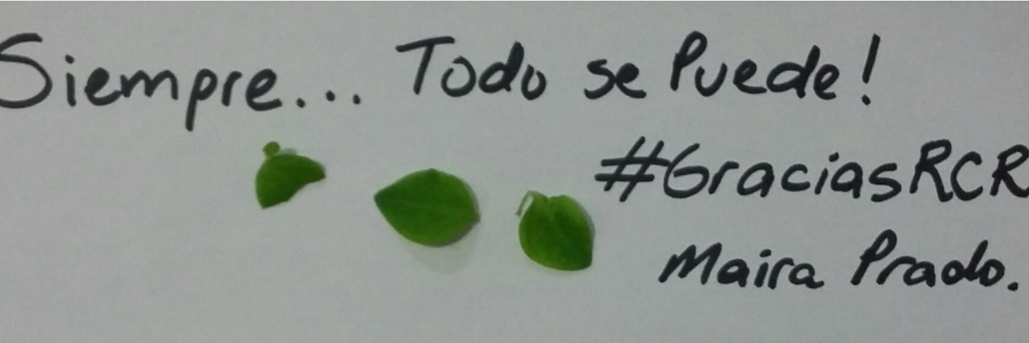 TodoSePuedeNet's profile banner image