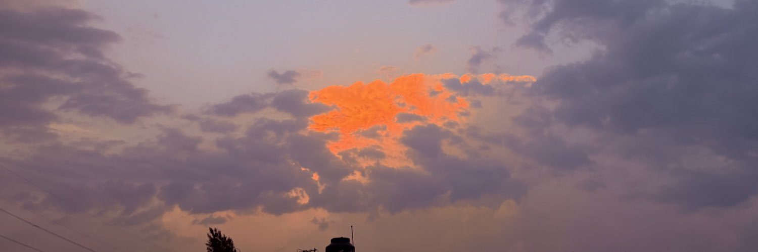 aruonie's profile banner image
