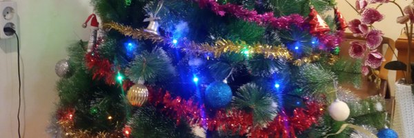 BinsarPp Profile Banner