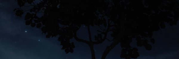 nanas Profile Banner