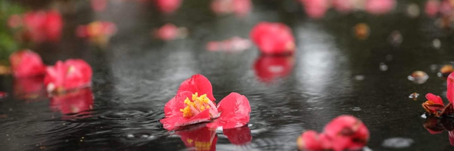 이낙연과 함께 banner