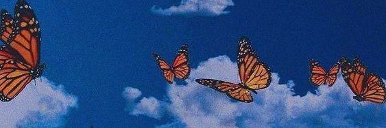 Maedthecurly's profile banner image