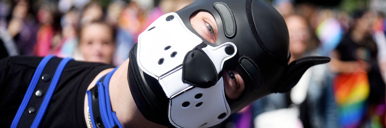 Pup Chip Germany -theBielepuppy- banner