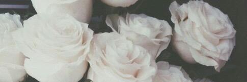 mc_ale's profile banner image
