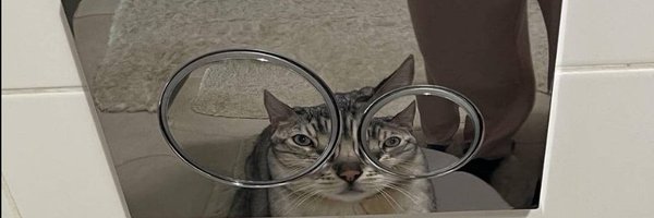 Fifffzyyy Profile Banner