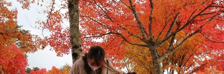1016_ayaka's profile banner image