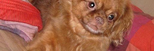 soytuca's profile banner image