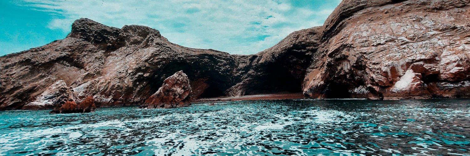 Mariana López banner