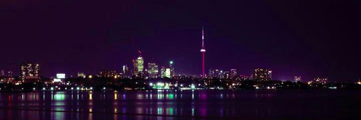noirnatural's profile banner image
