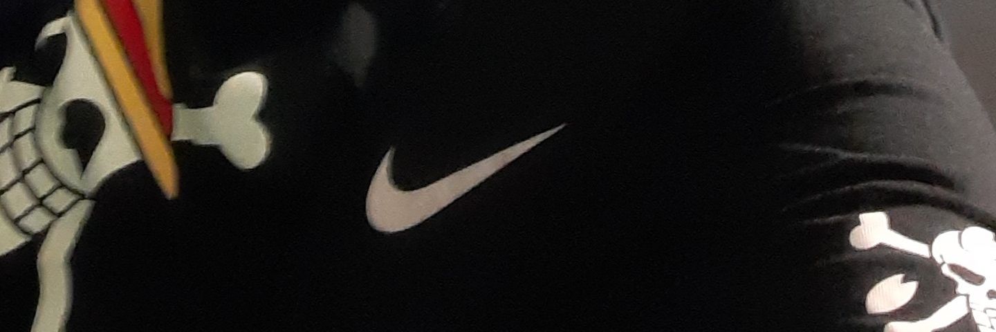 n1dzn's profile banner image