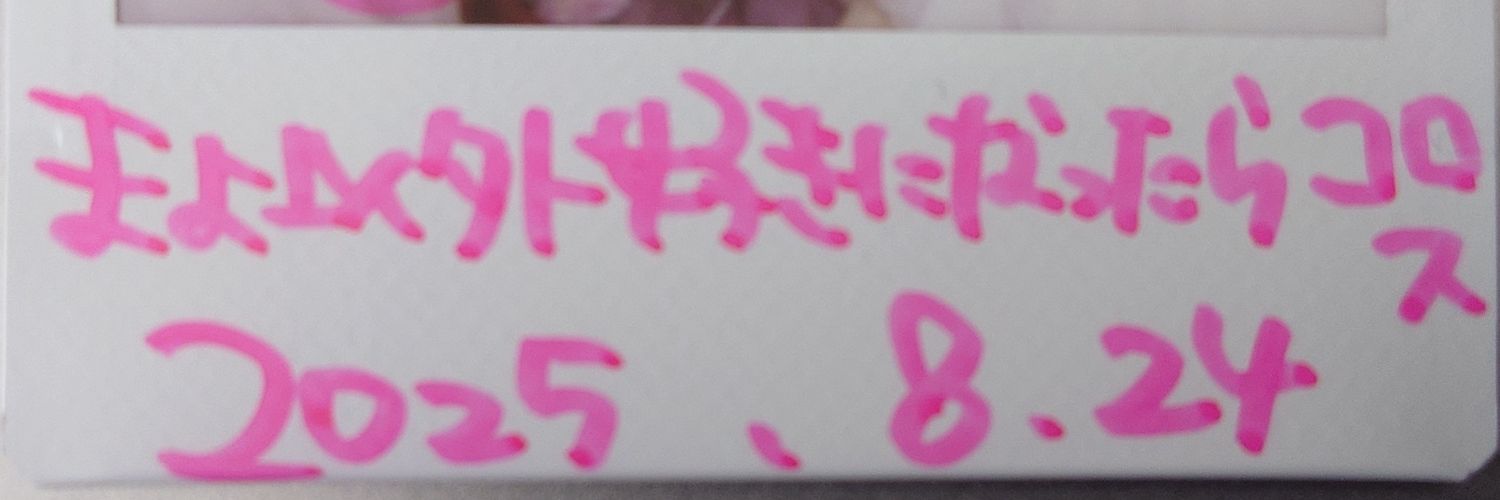 M@SA📷️ 的个人资料封面