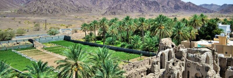 عمان وكفى  banner