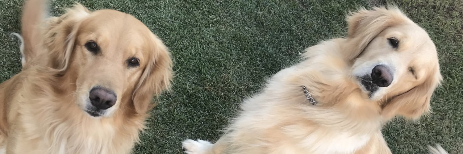 larissemlc's profile banner image