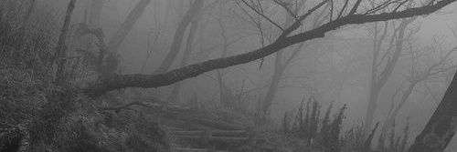 rubyonaa's profile banner image