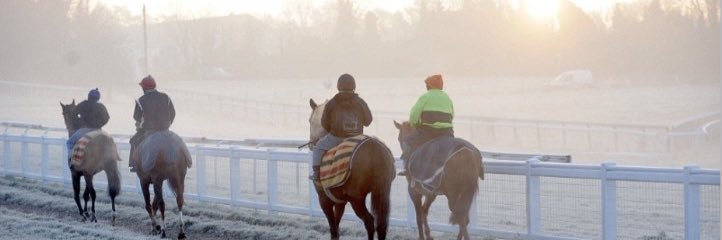 Max Racing Tips banner