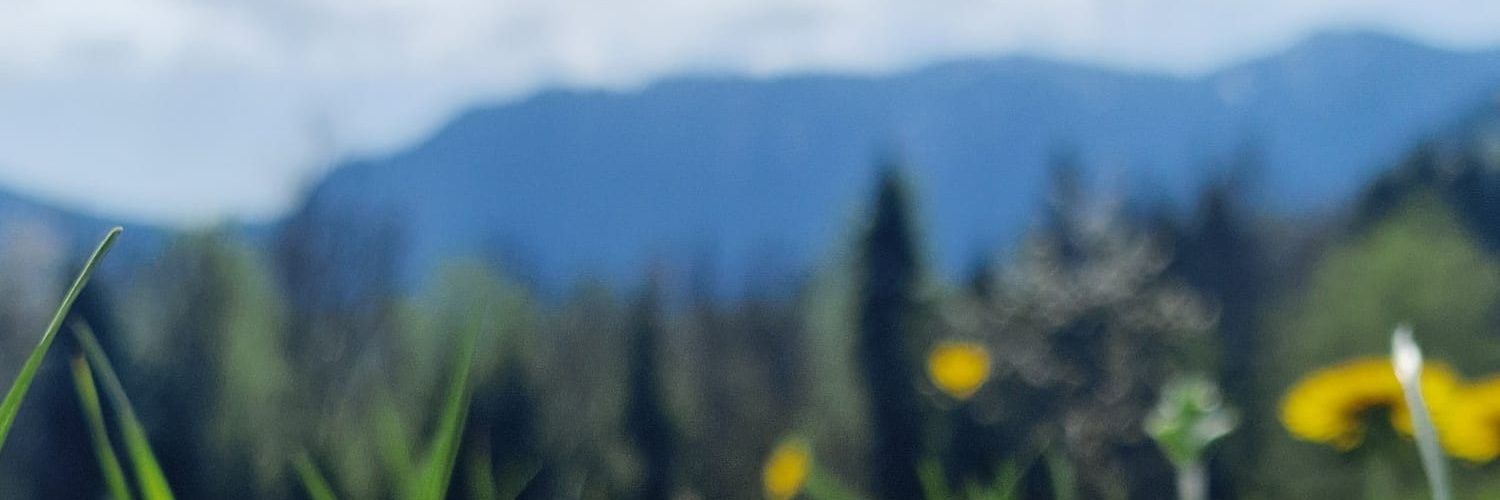 Bro defi banner