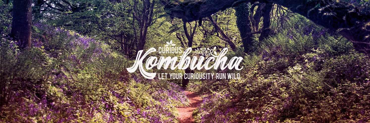 curiouskombucha's profile banner image