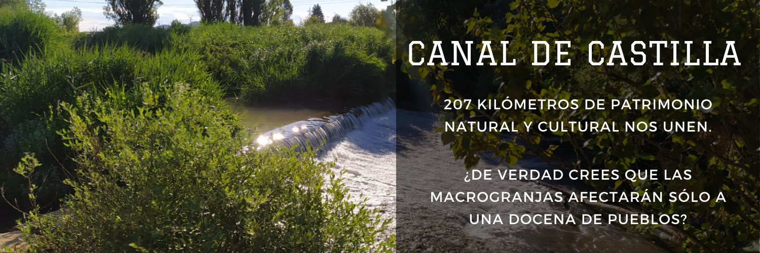 Pisoraca y Comarcas Vivas banner