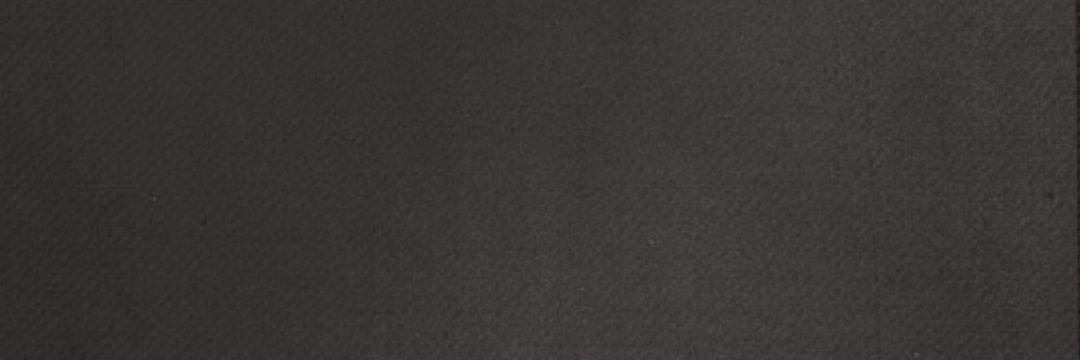 cinnamonswift banner