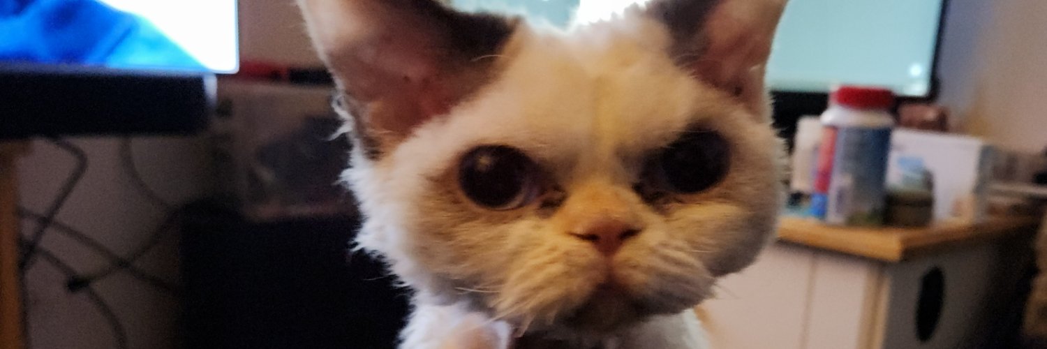 Johnny Lunder banner