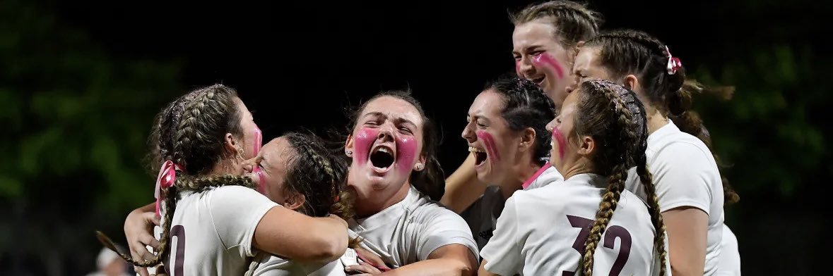 Lauren Satterly banner