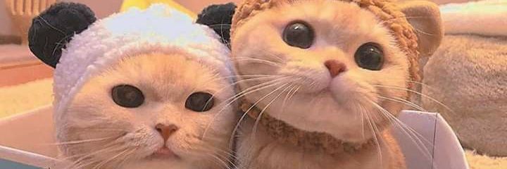 luvubaby18's profile banner image