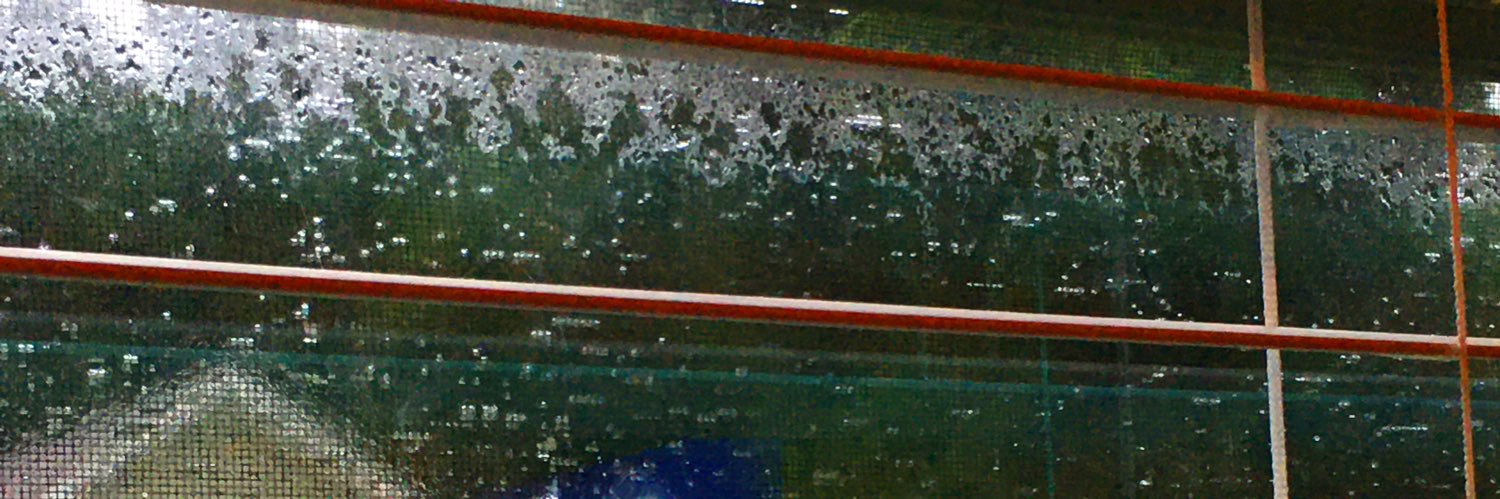 thedavidwindsor's profile banner image