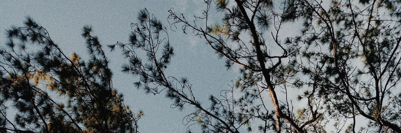 cakexjake's profile banner image