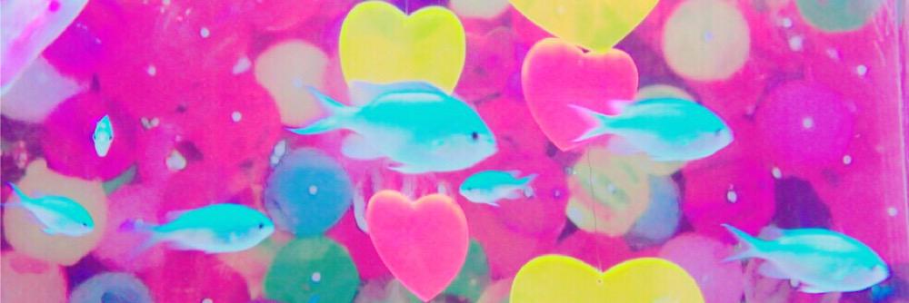 knjr___3's profile banner image