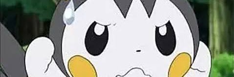 🐶 banner